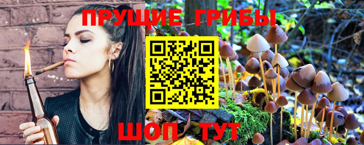 Галлюциногенные грибы Psilocybine cubensis  Вход с VPN  Дятьково  где купить   Галлюциногенные грибы Psilocybine cubensis 